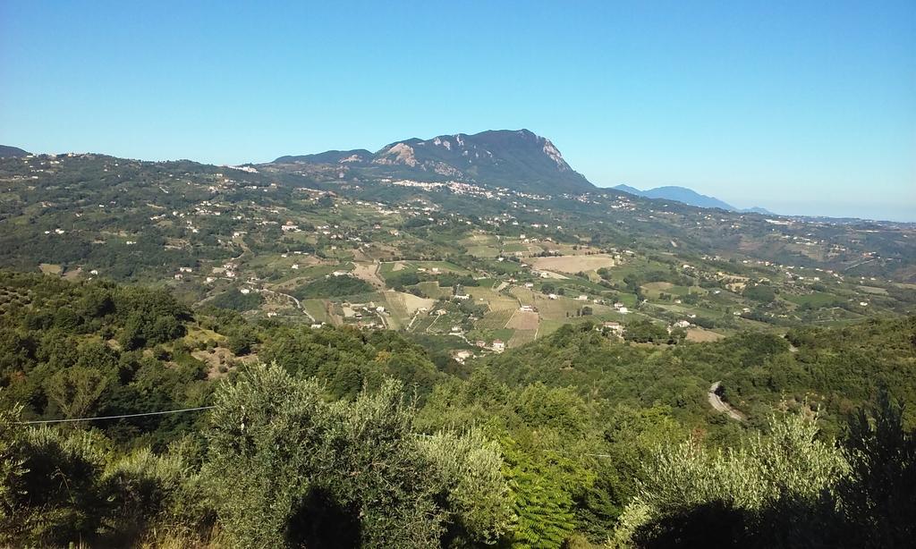 Agriturismo San Michele Paternopoli エクステリア 写真